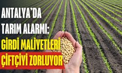 Antalya’da tarım alarmı: Girdi maliyetleri çiftçiyi zorluyor