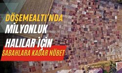 Döşemealtı’nda milyonluk halılar için sabahlara kadar nöbet