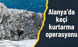 Alanya’da keçi kurtarma operasyonu