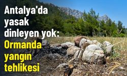 Antalya'da yasak dinleyen yok: Ormanda yangın tehlikesi