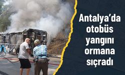 Antalya’da otobüs yangını ormana sıçradı