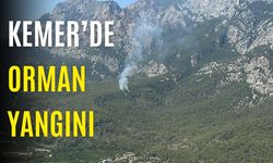 Kemer’de orman yangını