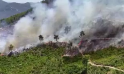 Alanya'da yangın devam ediyor