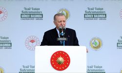 Cumhurbaşkanı Erdoğan: Yangınla mücadelede İHA kullanımında Avrupa'da birinciyiz