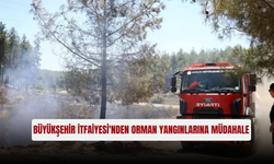 Büyükşehir İtfaiyesi'nden orman yangınlarına müdahale