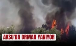 Aksu'da orman yanıyor