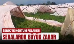 Utanç görüntüleri yayınlandı: Belediye başkanı tek tek ifşa etti