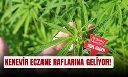 Kenevir eczane raflarına geliyor!