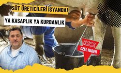 Süt üreticileri isyanda! YA KASAPLIK YA KURBANLIK