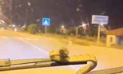 Aracın ön camına çıktı; Sürücü şok yaşadı!