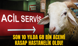 Kurban Bayramı'nın kanlı bilançosu: Son 10 yılda 68 bin acemi kasap hastanelik oldu