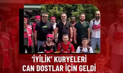 ‘İyilik’ kuryeleri can dostlar için geldi