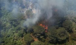 Sultangazi Kent Ormanı’nda yangın: İtfaiye ekipleri alevlere müdahale ediyor