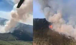 Eskişehir’de orman yangını