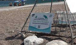 Çıralı'da işletmeler, caretta carettaları sahiplendi