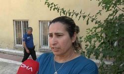 Evde sağlıksız koşullarda hayvan besleme şikayeti
