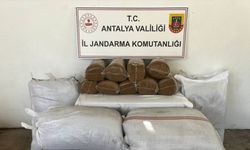 Gazipaşa’da 800 kilo bandrolsüz tütün ele geçirildi