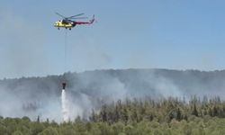 Çanakkale’de orman yangını