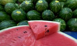 Karpuzun yıkanmadan kesilmesi "salmonella" riskini artırıyor