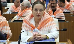 Böcek'in yerine vekalet edecek isim belli oldu!
