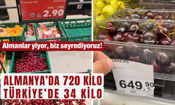 Almanlar yiyor, biz seyrediyoruz!