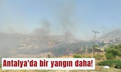 Antalya'da bir yangın daha!  evlere yakın çalılık alan yanıyor...