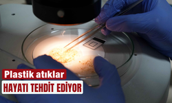 Plastik atıklar hayatı tehdit ediyor