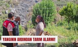 Yangının ardından tarım alarmı!