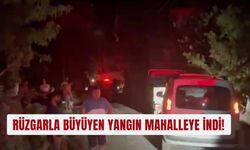 Rüzgarla büyüyen yangın mahalleye indi!