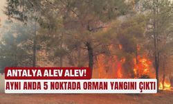 Antalya alev alev! Aynı anda 5 noktada orman yangını çıktı