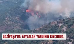 Gazipaşa'da yaylalar yangının kıyısında!