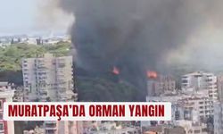 Muratpaşa’da orman yangın