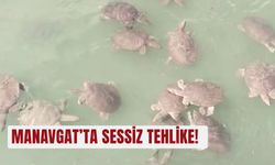 Manavgat’ta sessiz tehlike!