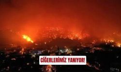Ciğerlerimiz yanıyor! Bursa’daki yangınla topyekûn mücadele: Kamu ve özel sektör el ele