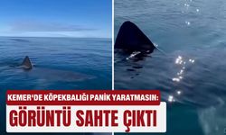 Kemer'de köpekbalığı panik yaratmasın: Görüntü sahte çıktı