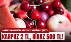 Antalya’da güncel hal fiyatları dikkat çekti: Karpuz 2 TL, kiraz 500 TL!