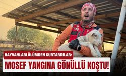 Hayvanları ölümden kurtardılar: MOSEF yangına gönüllü koştu!