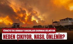Türkiye’de orman yangınları durmak bilmiyor: Neden çıkıyor, nasıl önlenir?