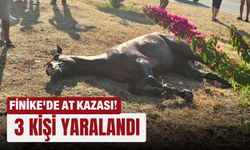 Finike'de at kazası! 3 kişi yaralandı