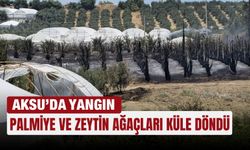Aksu’da yangın: Palmiye ve zeytin ağaçları küle döndü