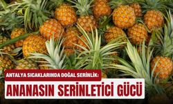 Antalya sıcaklarında doğal serinlik: Ananasın serinletici gücü