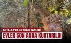Antalya'da 3 farklı yangın! Felaket son anda önlendi