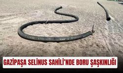 Gazipaşa Selinus Sahili’nde boru şaşkınlığı