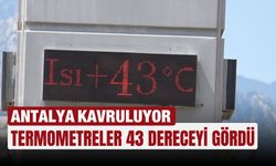 Antalya kavruluyor: Termometreler 43 dereceyi gördü