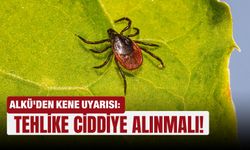 ALKÜ'den kene uyarısı: Tehlike ciddiye alınmalı!