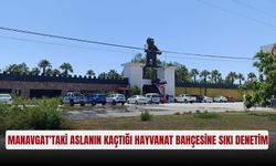 Manavgat'taki aslanın kaçtığı hayvanat bahçesine sıkı denetim