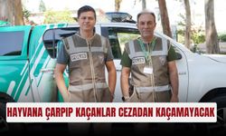 Hayvana çarpıp kaçanlar cezadan kaçamayacak