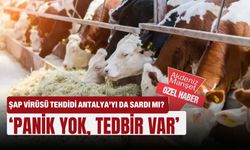 Şap virüsü tehdidi Antalya’yı da sardı mı? ‘Panik yok, tedbir var’