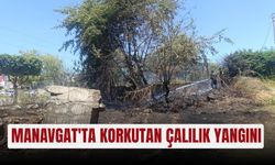 Manavgat'ta korkutan çalılık yangını