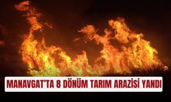 Manavgat’ta 8 dönüm tarım arazisi yandı
